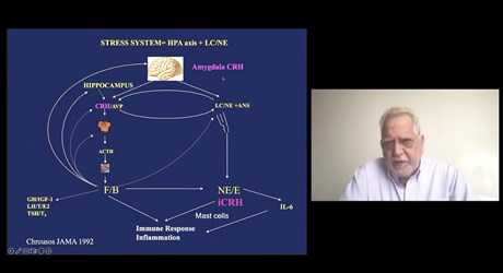 Stress, Inflammation and Sleep