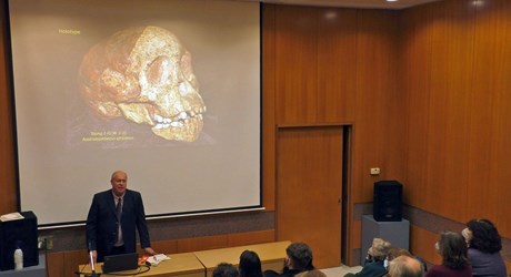 The “australopithecine pebble of many faces” and its place in the Cradle of Humankind, South Africa